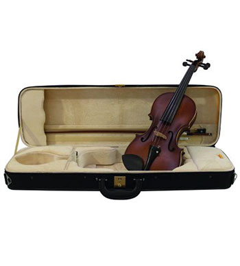 Violon adulte 26400520