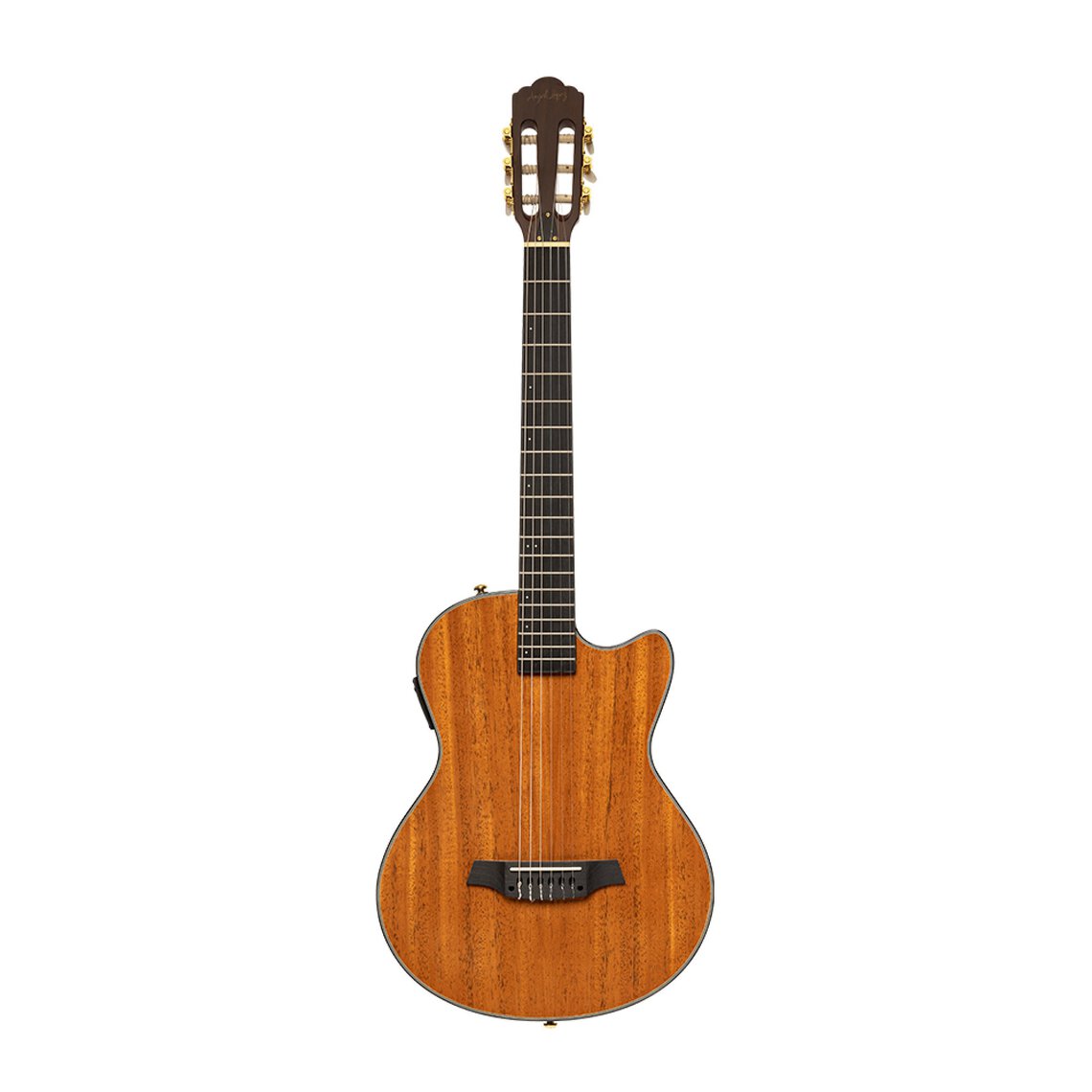 Guitares Acoustiques pour une harmonie naturellement parfaite