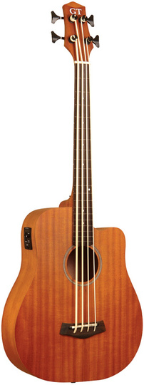 M-BASS25-FLA