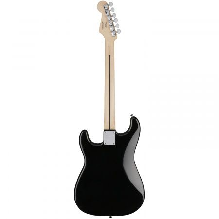 1490279973Squier_0311005506_back