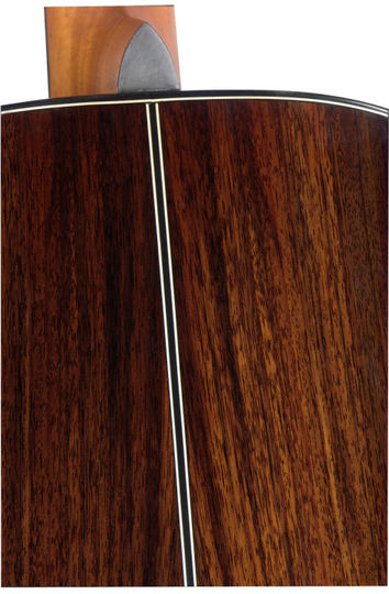 LYN-D12D
