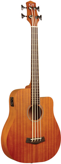 M-BASS25A