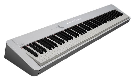 PX-S1000WEc