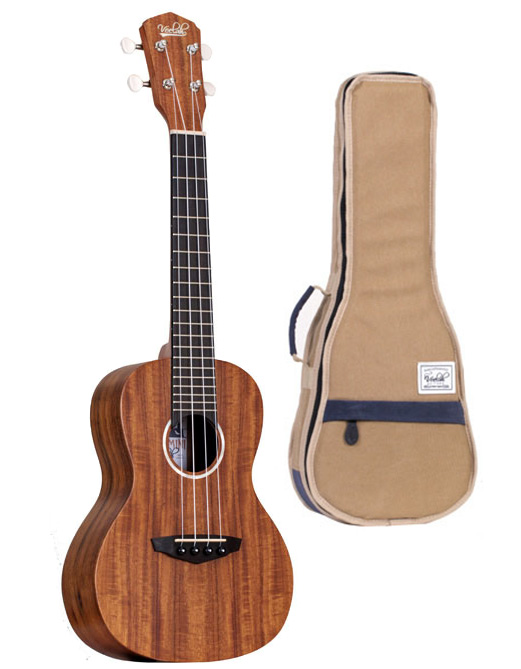 Achat/Vente Guitares - VEELAH Guitare Folk TOGO Voyage Massive Acajou -  Rockstation