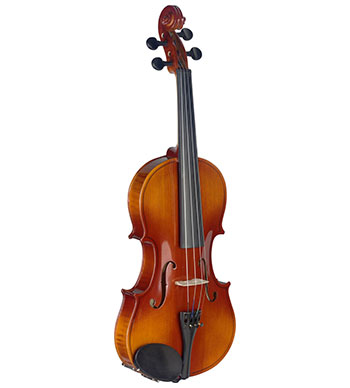 Violon adulte VN-4/4 L